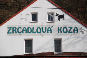 zrcadlova-koza.jpg