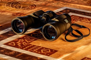 binoculars-431488_960_720.jpg