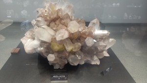 20221015_160332.jpg